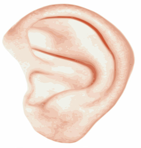 Ear1-Sri Sai Hospital