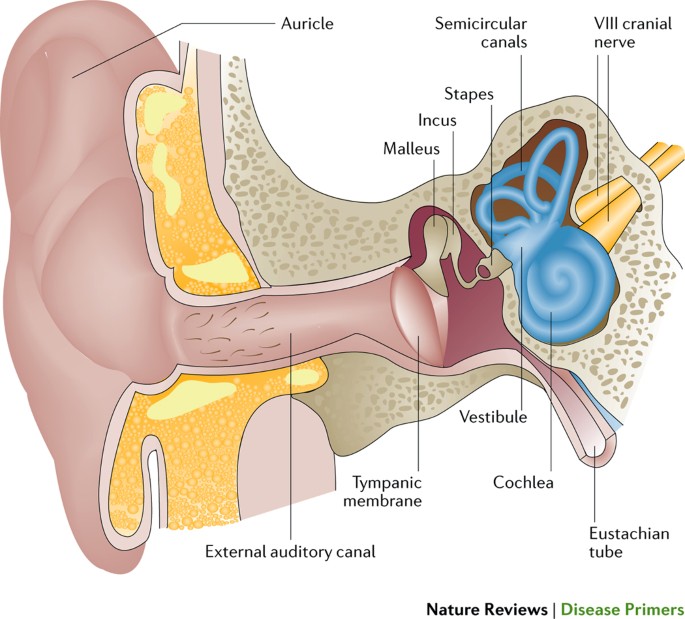 Hearingtab-Sri Sai hospital